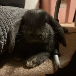 Meet your Posher, Randy